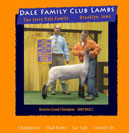 Dale Club Lambs